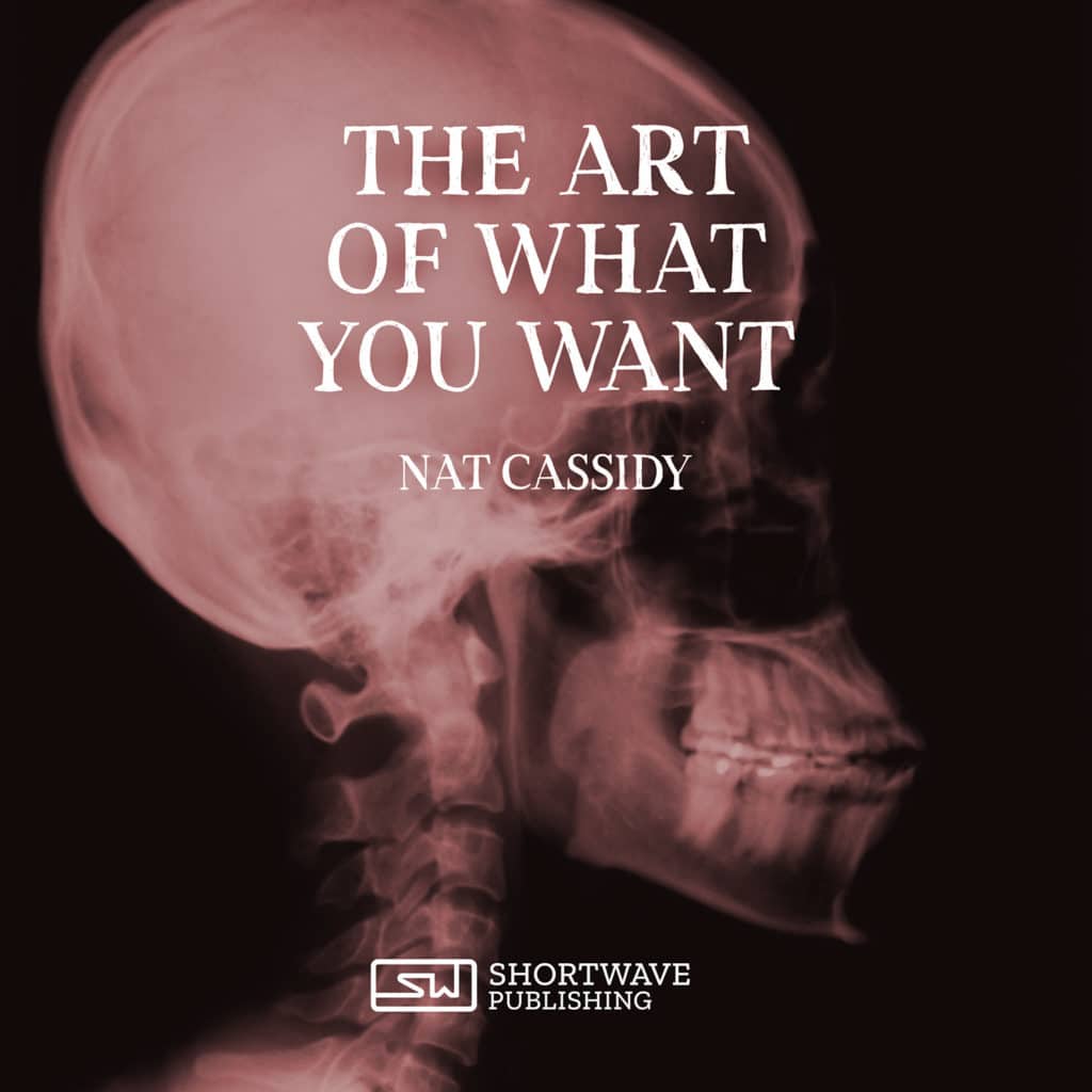 The Art of What You Want - A Short Story by Nat Cassidy