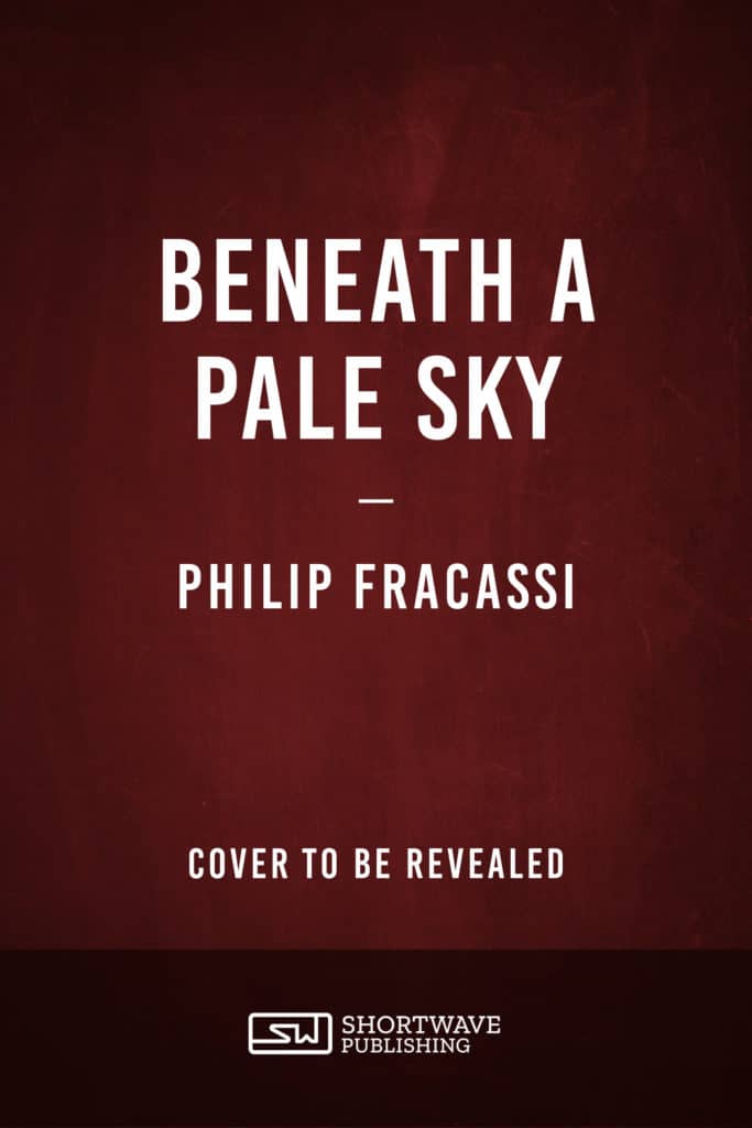 beneath a pale sky temp cover
